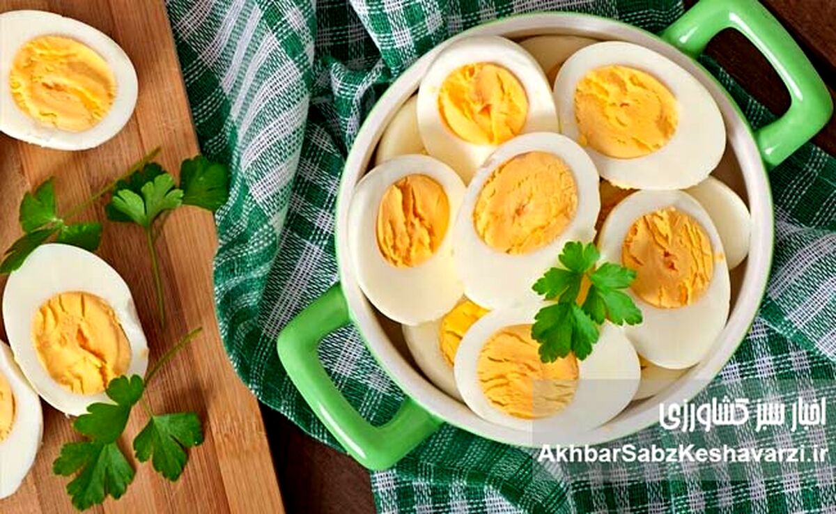 تخم مرغ برای پیشگیری از آلزایمر: آیا این ماده غذایی معجزه می‌کند؟