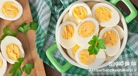 تخم مرغ برای پیشگیری از آلزایمر: آیا این ماده غذایی معجزه می‌کند؟