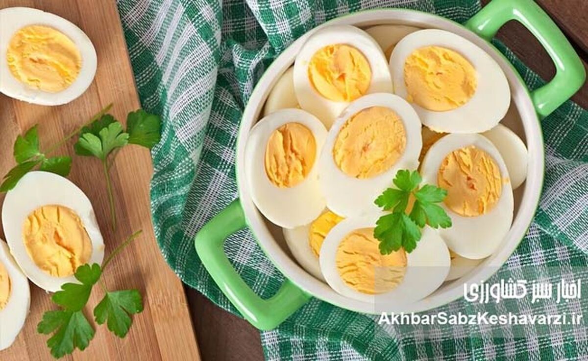 تخم مرغ برای پیشگیری از آلزایمر: آیا این ماده غذایی معجزه می‌کند؟