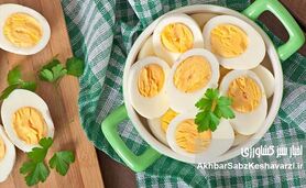 تخم مرغ برای پیشگیری از آلزایمر: آیا این ماده غذایی معجزه می‌کند؟