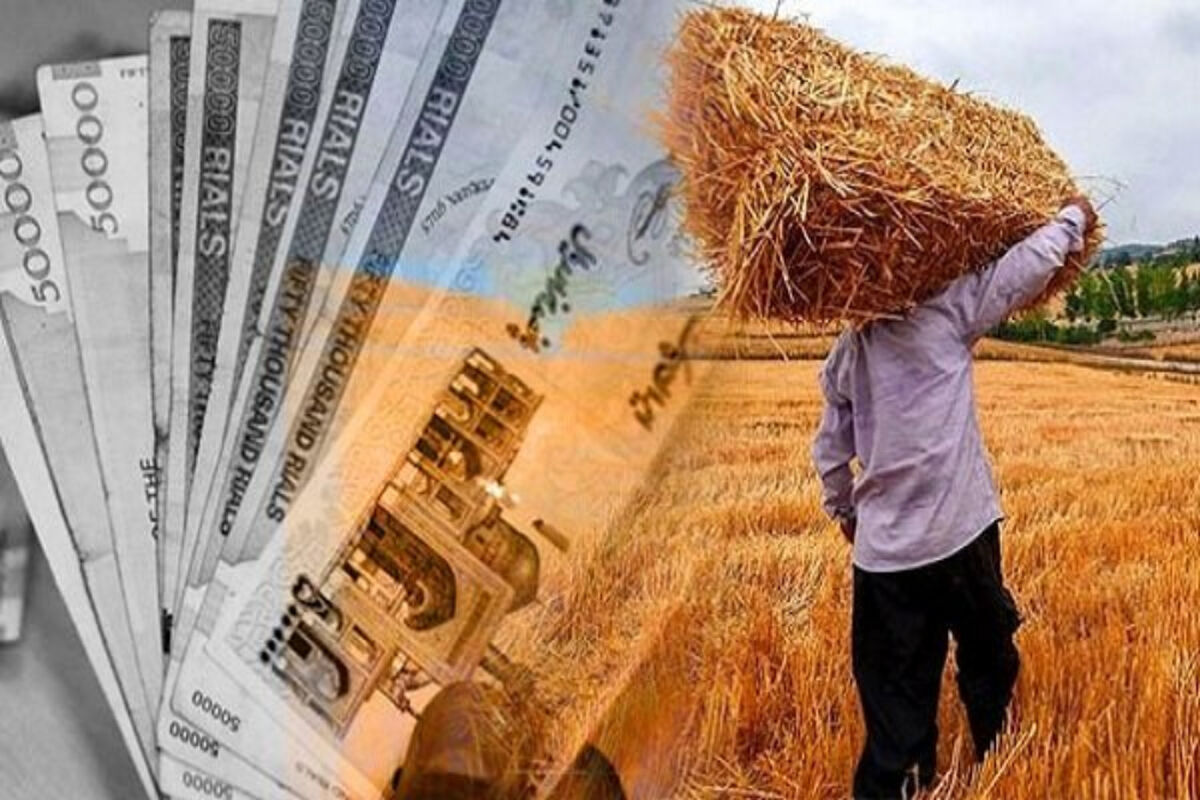تأخیر مطالبات گندمکاران، خرید تضمینی و کشت پاییزه را تهدید کرد