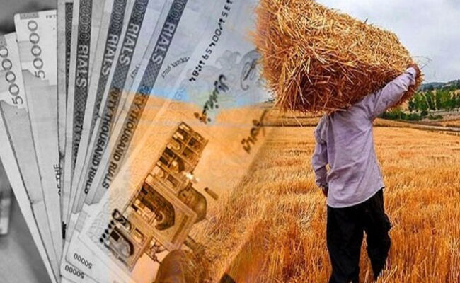 تأخیر مطالبات گندمکاران، خرید تضمینی و کشت پاییزه را تهدید کرد