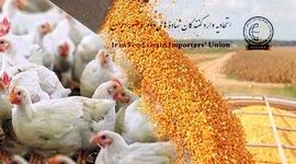 هشدار؛ مانع روند افزایشی قیمت مواد پروتئینی بشوید