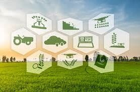 ایجاد ارزش افزوده بالا در شهرهای مولد کشاورزی

