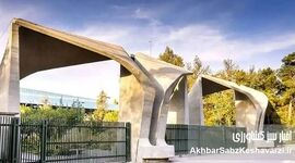 شوک حقوقی در آموزش عالی؛ شکاف عمیق میان حقوق اعضای هیأت علمی و کارکنان دانشگاه‌ها