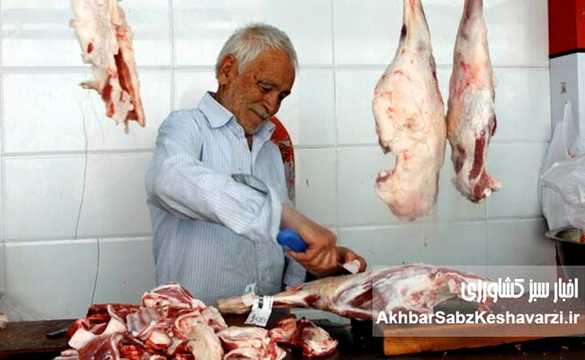 سقوط سرانه مصرف گوشت به ۵ کیلوگرم؛ قصابی‌ها ساکت‌ترین مغازه‌های شهرند