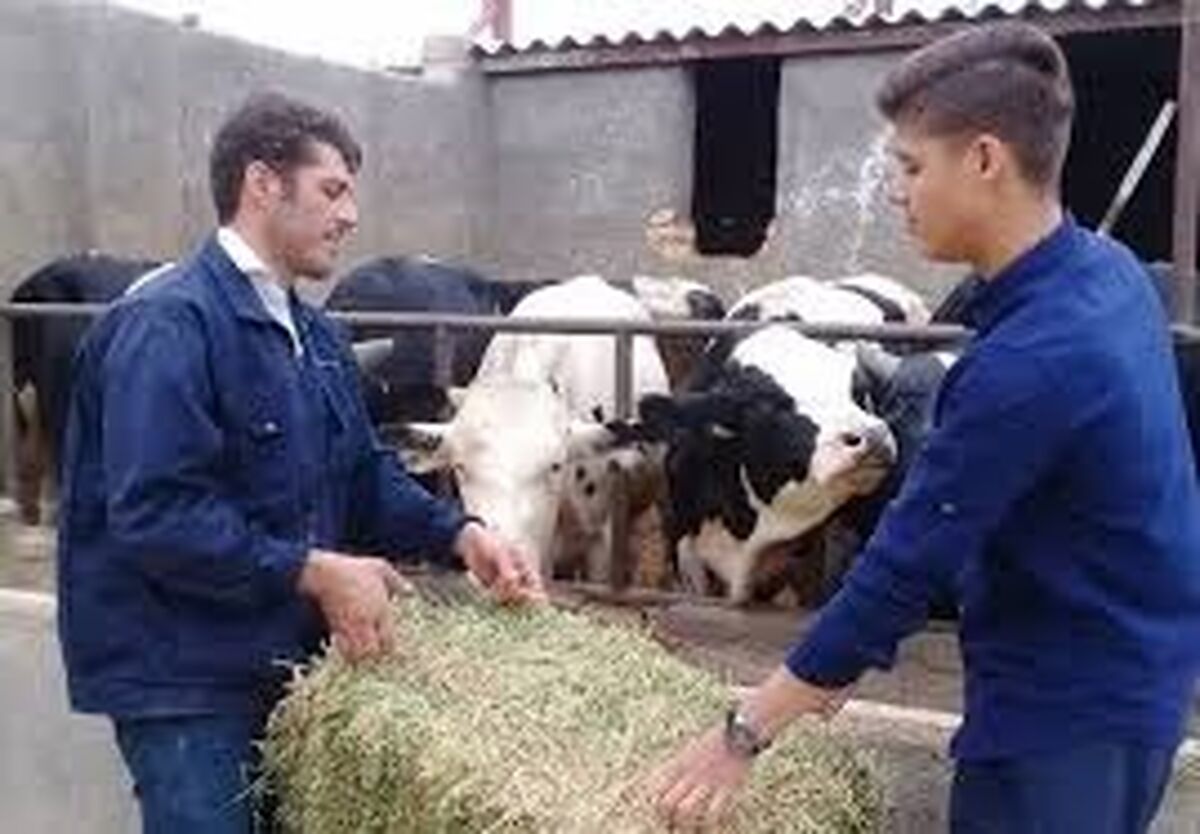 تولیدات روستایی نیاز به مجوز دامپزشکی ندارد


