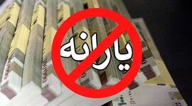 یارانه چه خانوارهایی ممکن است قطع شود و چگونه باید اعتراض کرد