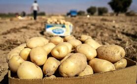 جلوگیری از صادرات برای تنظیم بازار داخلی ممنوع است+ سند

