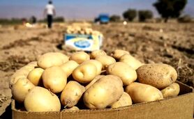 جلوگیری از صادرات برای تنظیم بازار داخلی ممنوع است+ سند

