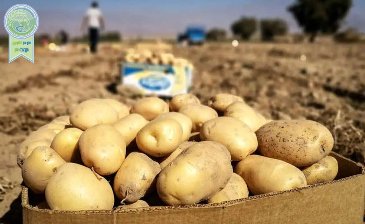 جلوگیری از صادرات برای تنظیم بازار داخلی ممنوع است+ سند

