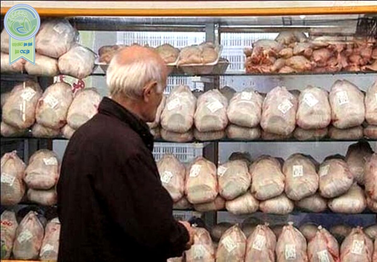 نوسانی در بازار مرغ شب‌های قدر نداریم

