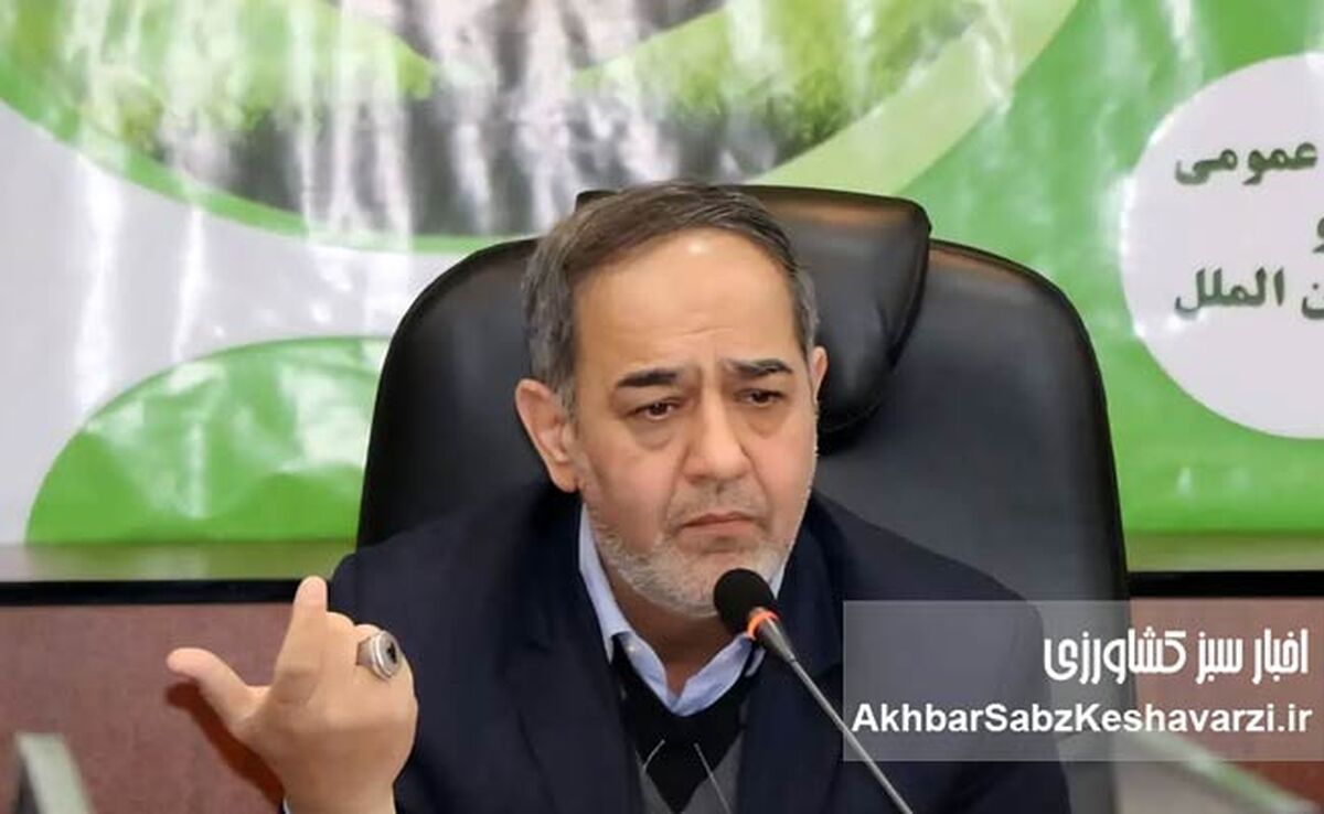 برنج ارزان می‌شود؟ تصمیم جدید دولت برای حذف دلالان از بازار برنج