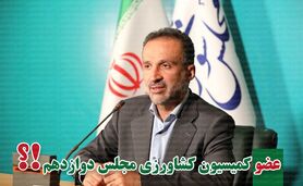 ابراهیم نجفی در مجلس ماندگار شد

