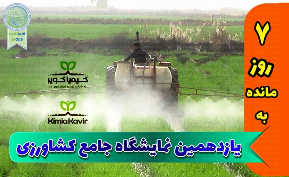 ارز ترجیحی برای واردات مواد اولیه برقرار شود

