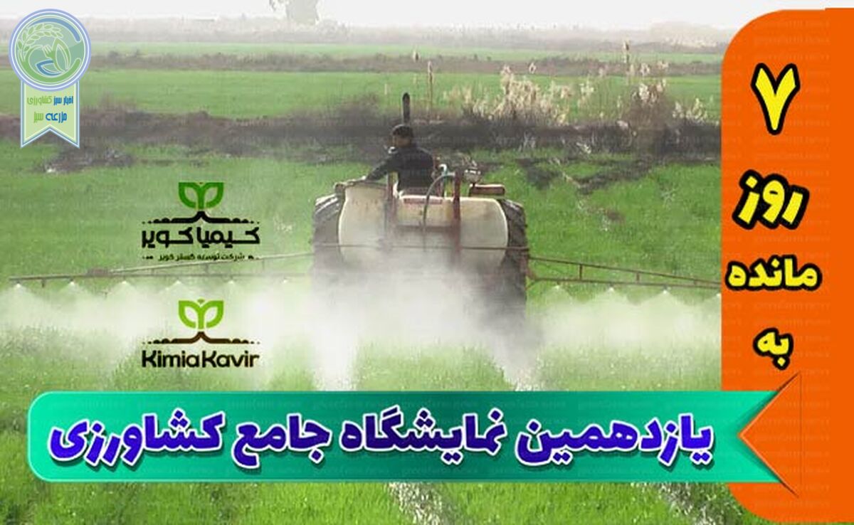 ارز ترجیحی برای واردات مواد اولیه برقرار شود

