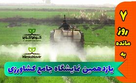 ارز ترجیحی برای واردات مواد اولیه برقرار شود

