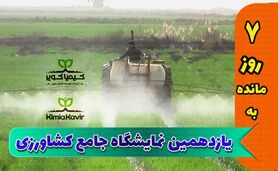 ارز ترجیحی برای واردات مواد اولیه برقرار شود


