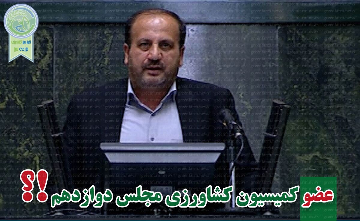 رحمت‌الله نوروزی راهی بهارستان شد

