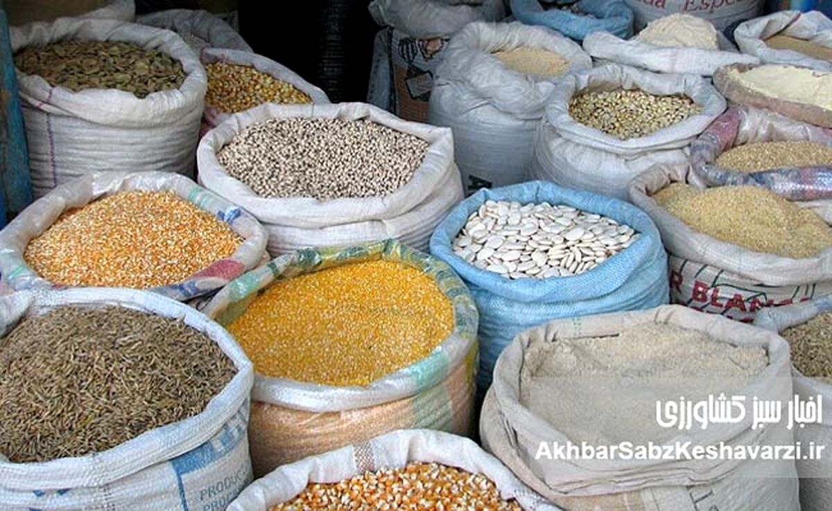 بازار حبوبات در کما؛ اظهارات مسئولان مرهم است یا نمک بر زخم؟