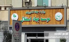 مدیر اختلاسگر در برابر حکم قطعی؛ تمرد یا فرار حقوقی؟