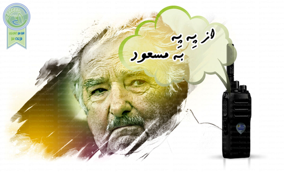 از پِه پِه به مسعود+ ویدئو

