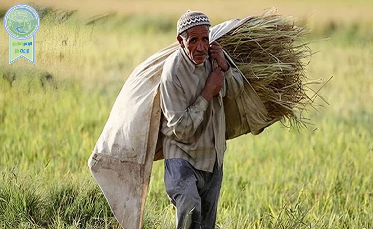 محصولات کشاورزی تولید داخل، همچنان فرزندان ناتنی اقتصاد ایران

