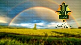 تأمین 50 درصد اعتبارات صندوق بیمه کشاورزی/ امید برای حمایت بیشتر از کشاورزان

