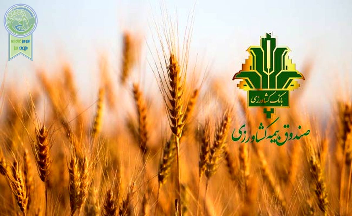 ایران پیشرو در به کارگیری فناوری‌های نوین بیمه کشاورزی 