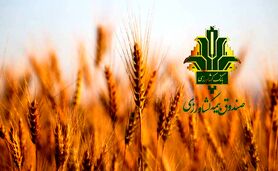 ایران پیشرو در به کارگیری فناوری‌های نوین بیمه کشاورزی 