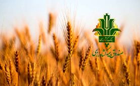 ایران پیشرو در به کارگیری فناوری‌های نوین بیمه کشاورزی 
