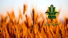 ایران پیشرو در به کارگیری فناوری‌های نوین بیمه کشاورزی 