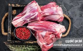 گوشت گران، دام ارزان؛ معمایی به نام توزیع که سفره‌ها را کوچک کرد