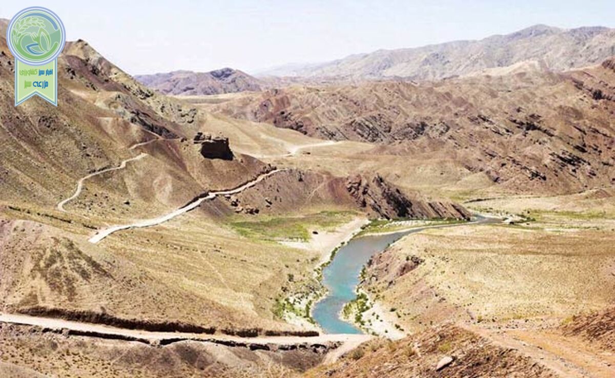  دست بالای طالبان

