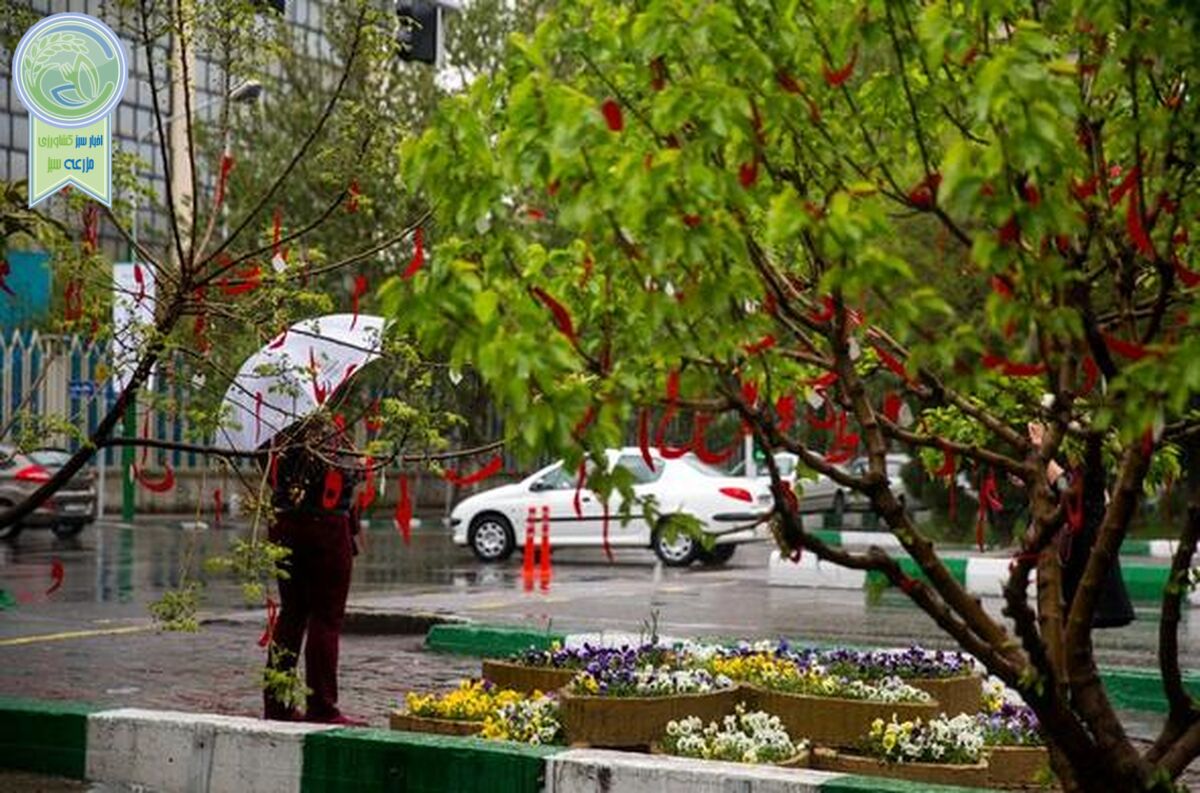 
سه روز جذاب بارانی در انتظار تهران