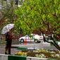 
سه روز جذاب بارانی در انتظار تهران