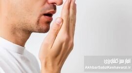 بوی بد دهان در محل کار؛ محیطی سالم‌تر با نفس‌های تازه‌تر