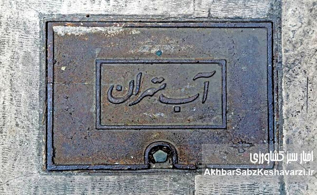 تهران در آستانه ۴۰ روز کم‌آبی شدید؛ نماینده مجلس خواستار کنترل استخرها و کارواش‌ها شد