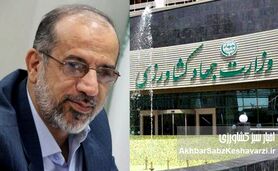 جلیل میرمحمدی خطاب به وزارت جهاد کشاورزی: دعا نکنید، عمل کنید؛ دام مولد نابود شد