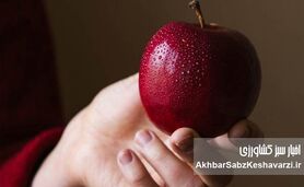 بوییدن سیب موجب کاهش فشار خون می‌شود
