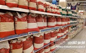 شوک ۴۰۰ هزار تومانی به بازار برنج؛ پشت پرده گرانی برنج شمال چیست؟

