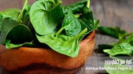 اسفناج سلطان سبزی‌ها