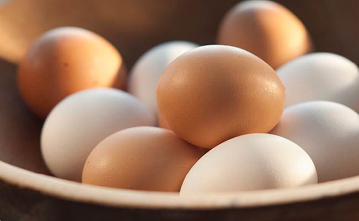 تخم‌مرغ، غذایی کامل یا عامل مرگ زودرس؟

