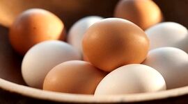 تخم‌مرغ، غذایی کامل یا عامل مرگ زودرس؟

