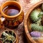 گیاهان مهم دارویی و کاربرد آنها