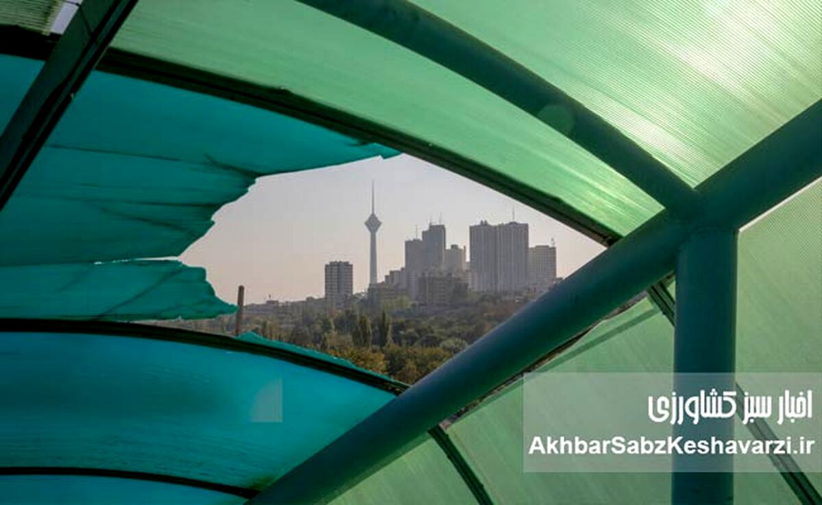حق با کدام دستگاه است؟ جدال تازه بر سر منبع آلودگی هوا در تهران