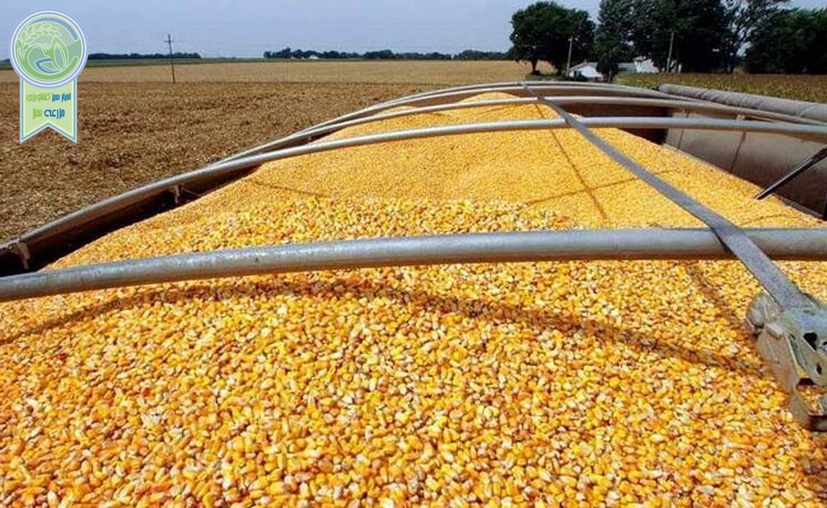 ماجرای جلوگیری از خسارت ۳۰۰ میلیارد تومانی به بیت المال چه بود؟

