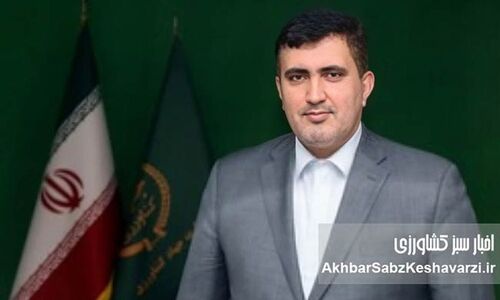 این بار از شمار «سه نون»، واقعاً یک نون کم!
