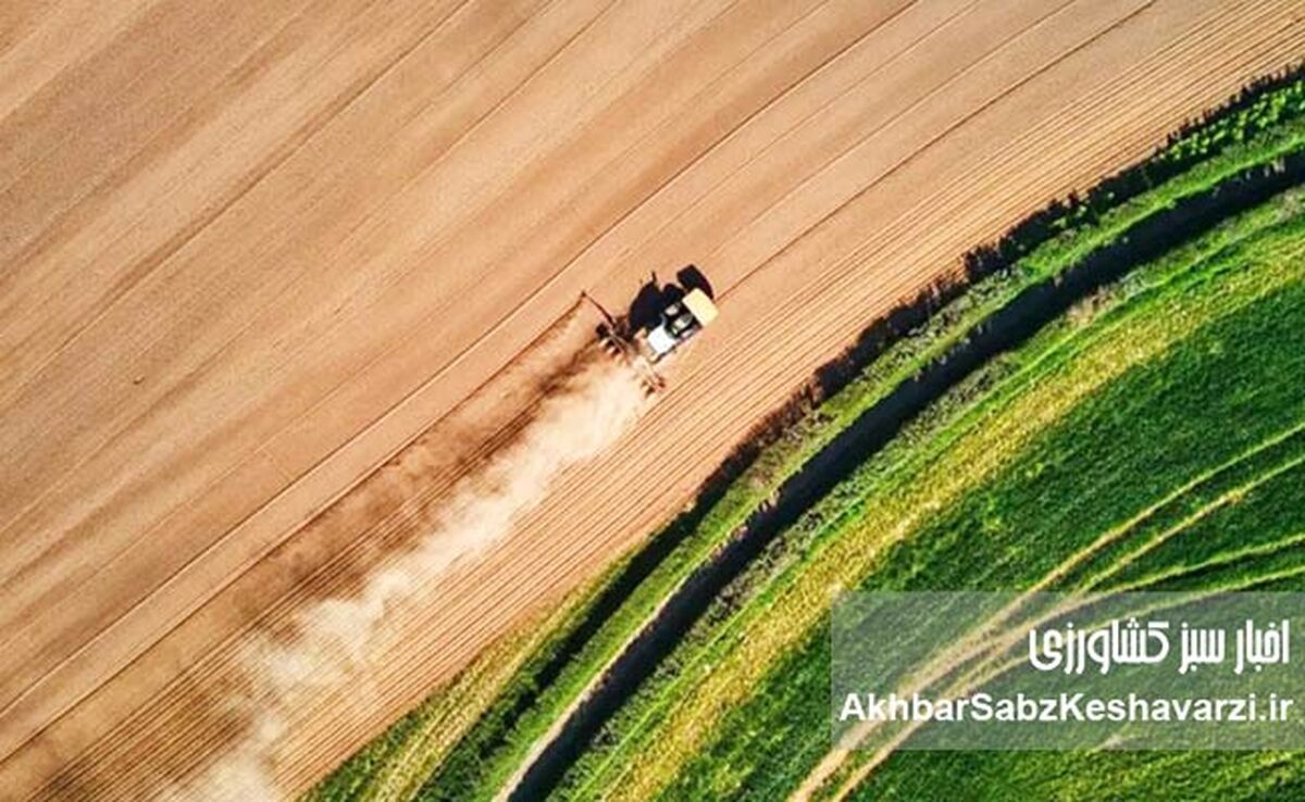 احیای ۲.۴ میلیون هکتار اراضی کشاورزی؛ گامی برای امنیت غذایی

