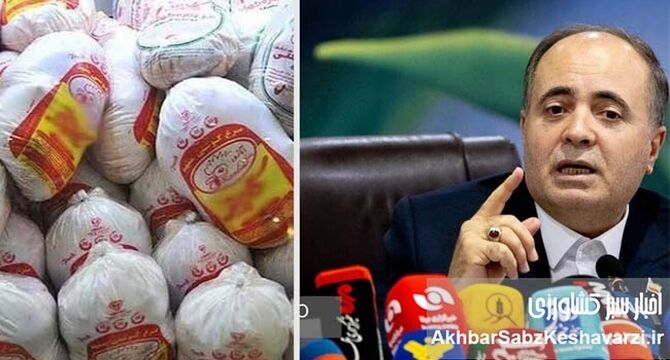 ادعای نوری قزلجه درباره «خودکفایی مرغ»؛ دستاوردی واقعی یا بازی با واژه‌ها و آمار؟
